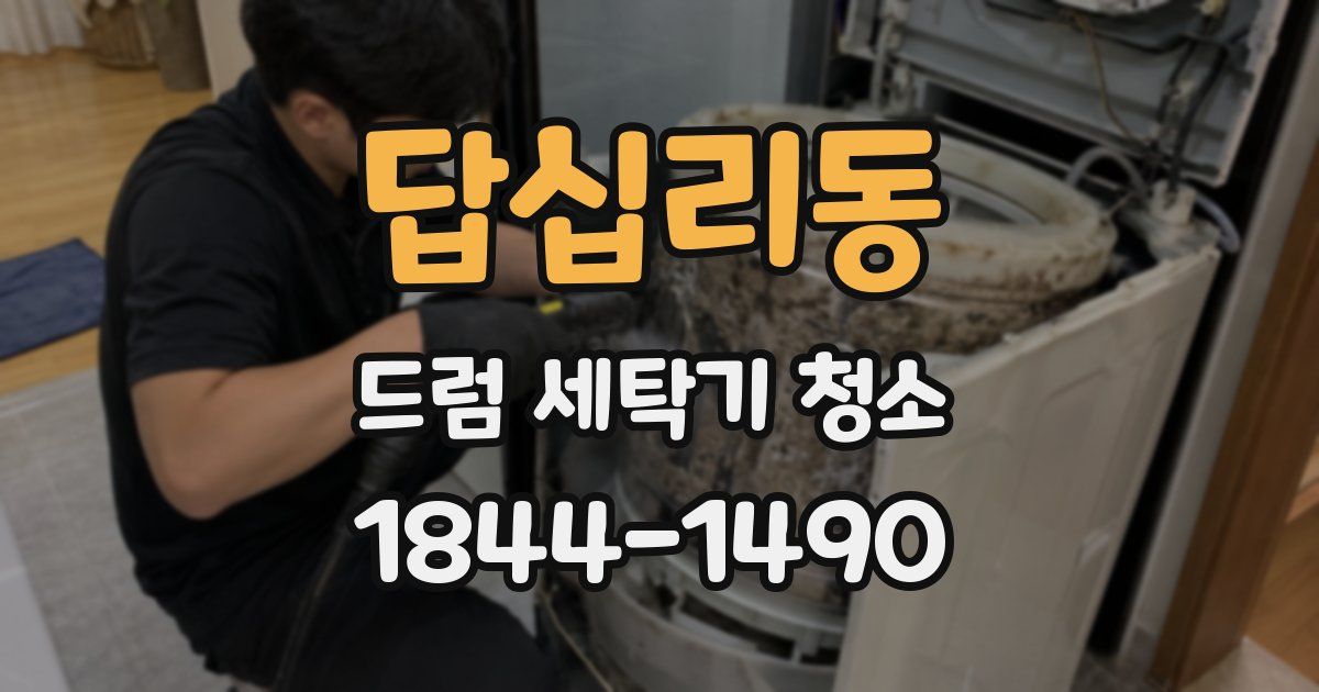 답십리동 드럼 세탁기 청소