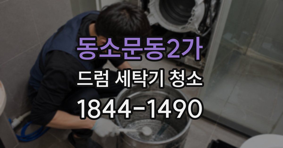 동소문동2가 드럼 세탁기 청소