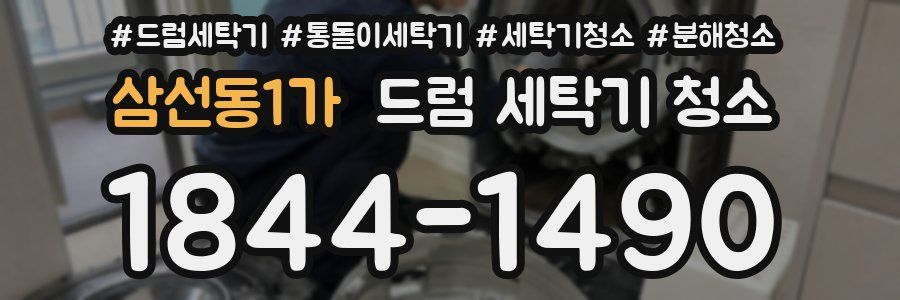 삼선동1가 드럼 세탁기 청소