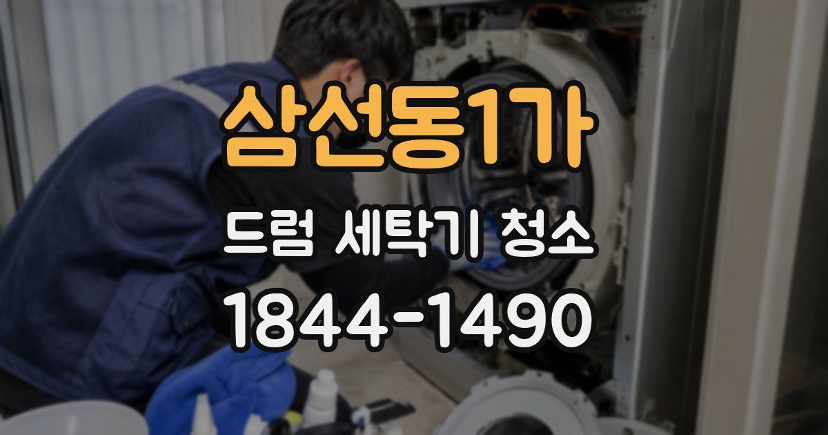 삼선동1가 드럼 세탁기 청소
