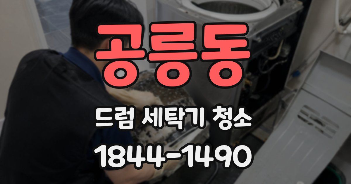 공릉동 드럼 세탁기 청소