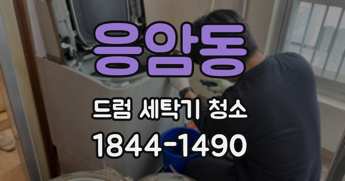 응암동 드럼 세탁기 청소