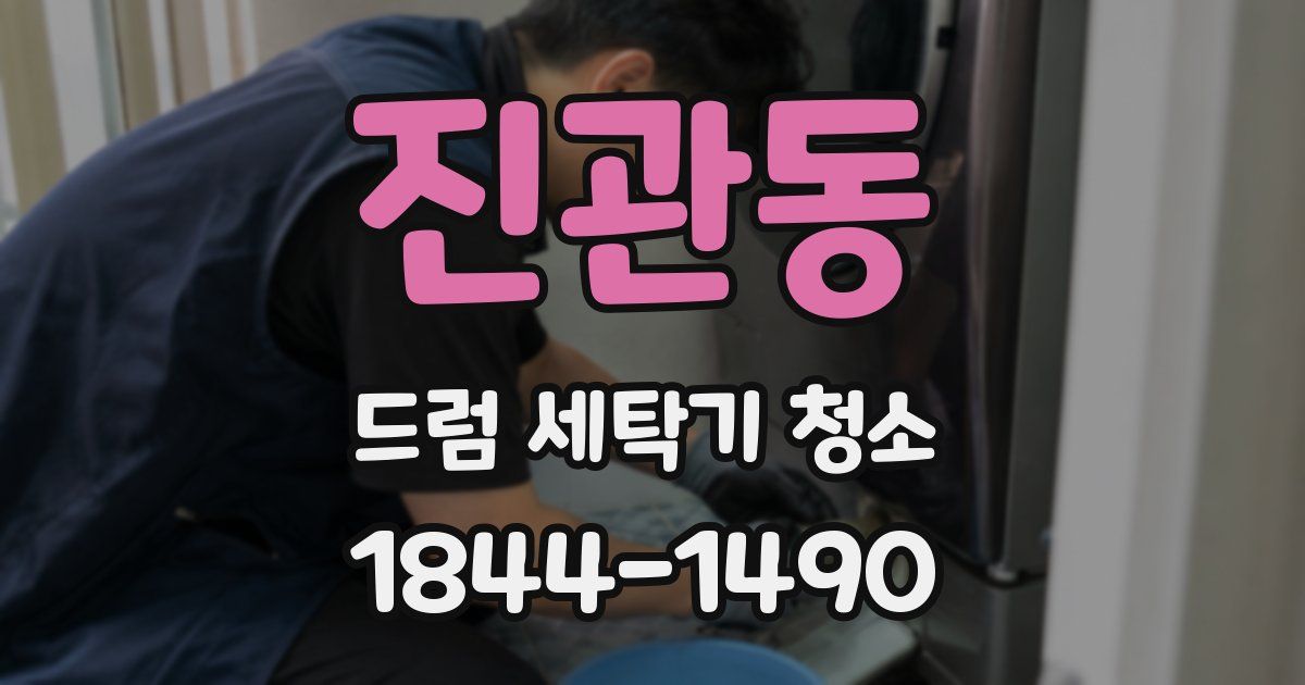 진관동 드럼 세탁기 청소