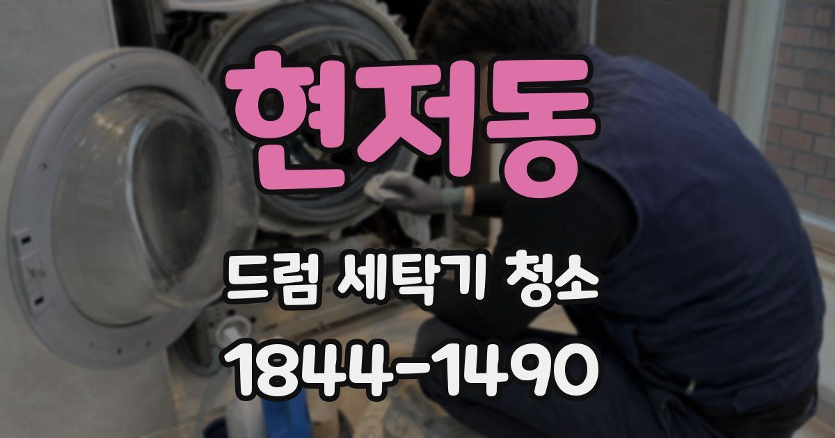 현저동 드럼 세탁기 청소