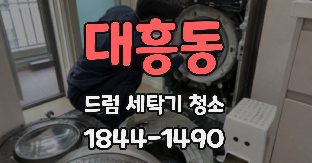 대흥동 드럼 세탁기 청소