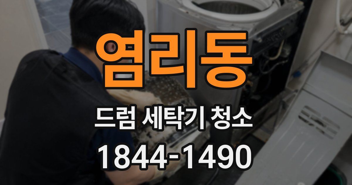 염리동 드럼 세탁기 청소