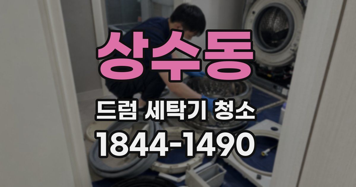 상수동 드럼 세탁기 청소