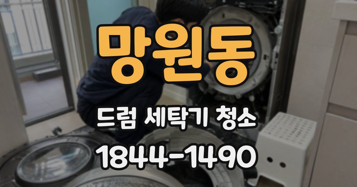 망원동 드럼 세탁기 청소