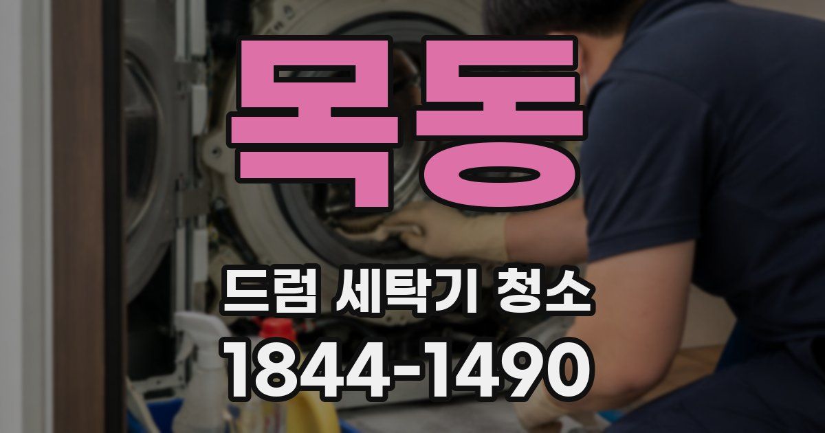 목동 드럼 세탁기 청소