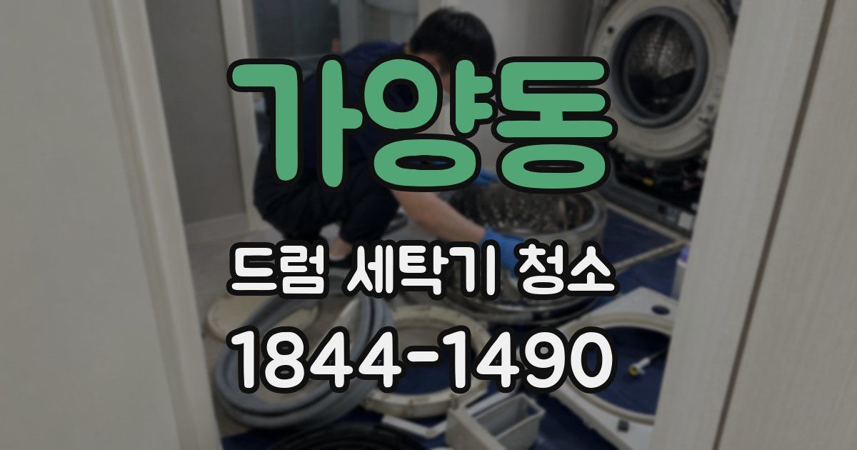 가양동 드럼 세탁기 청소