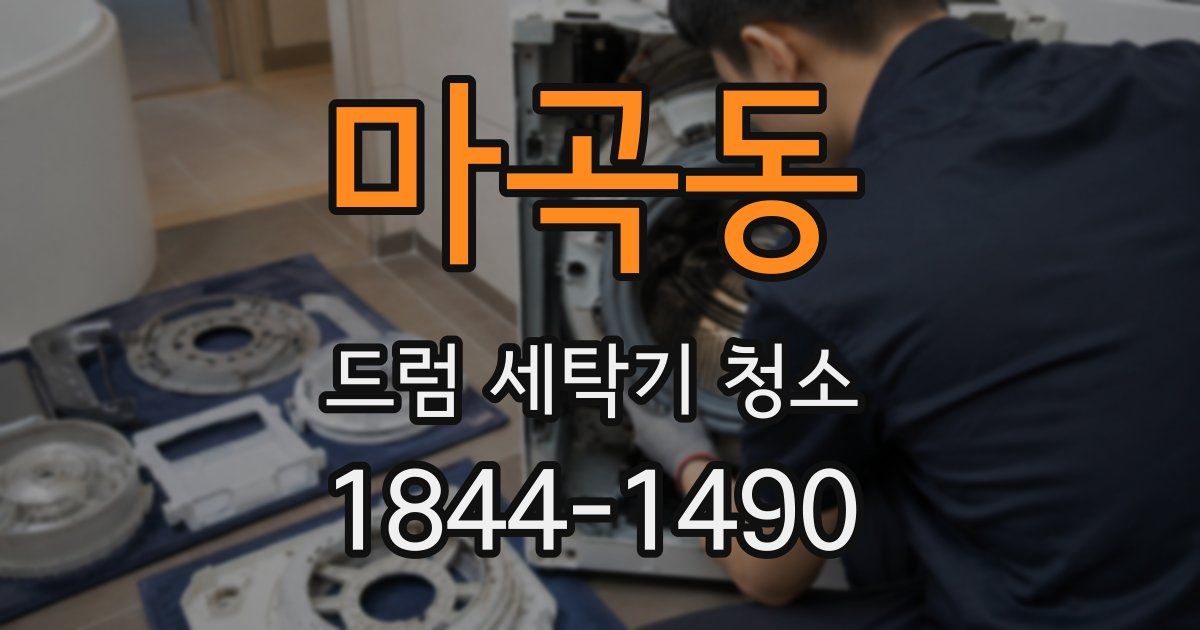 마곡동 드럼 세탁기 청소