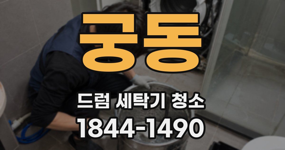 궁동 드럼 세탁기 청소