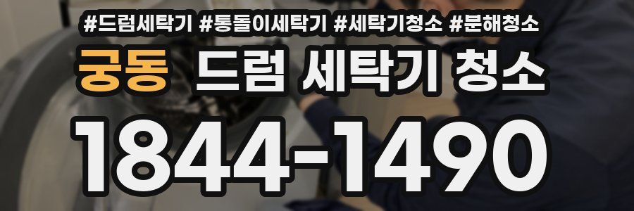 궁동 드럼 세탁기 청소