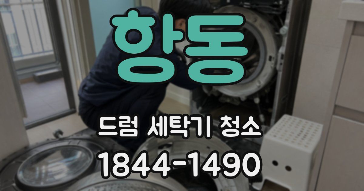 항동 드럼 세탁기 청소