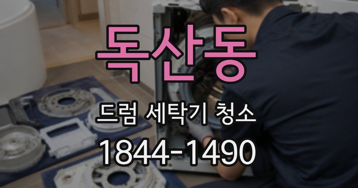 독산동 드럼 세탁기 청소