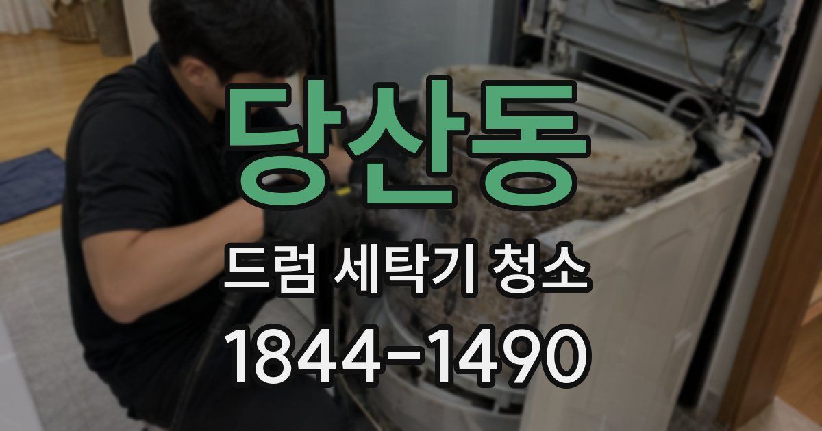 당산동 드럼 세탁기 청소