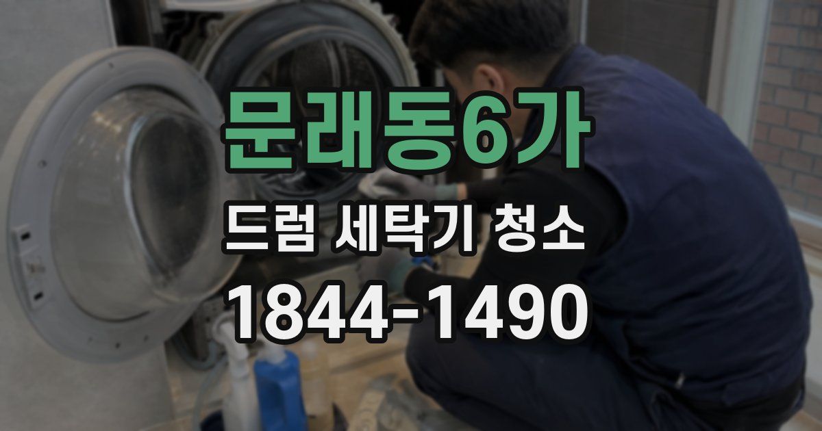 문래동6가 드럼 세탁기 청소