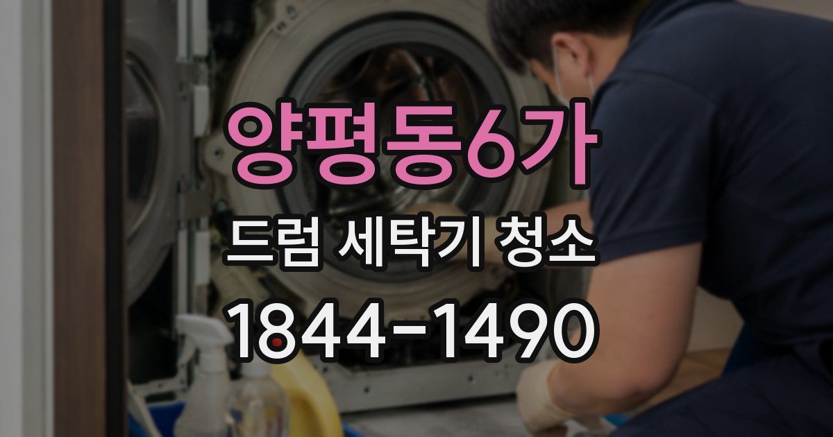 양평동6가 드럼 세탁기 청소