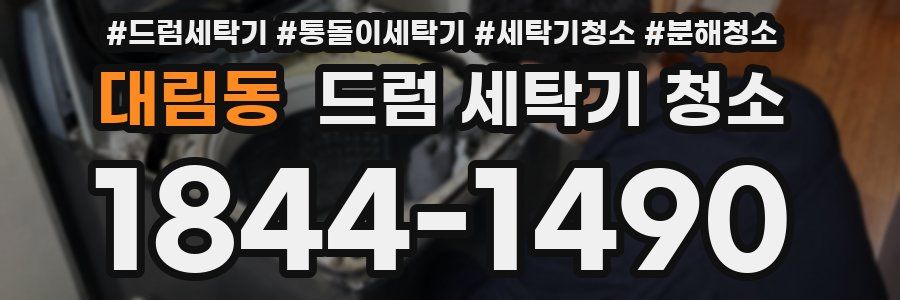 대림동 드럼 세탁기 청소