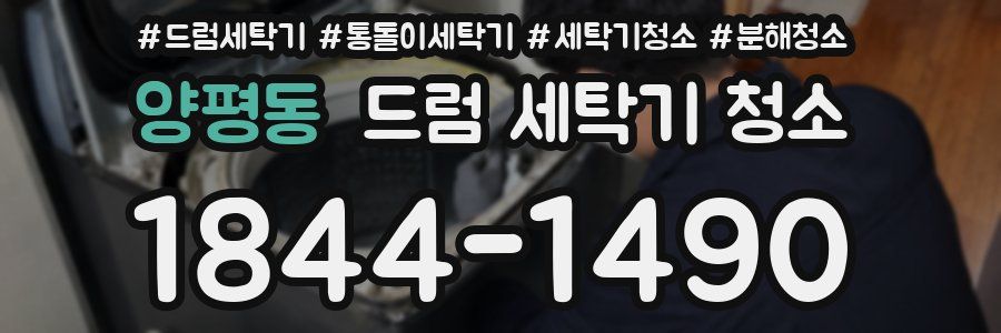 양평동 드럼 세탁기 청소