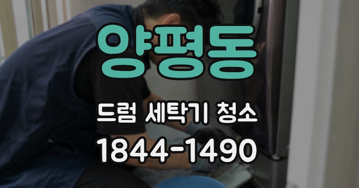양평동 드럼 세탁기 청소