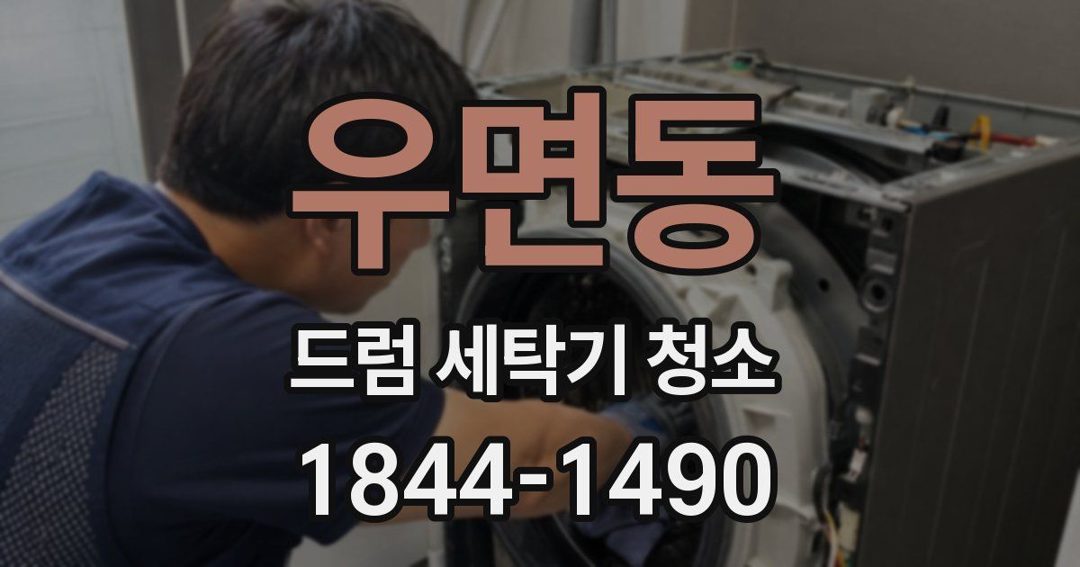 우면동 드럼 세탁기 청소