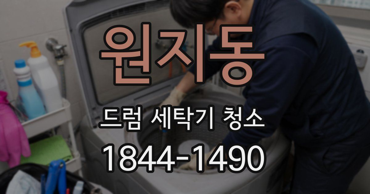 원지동 드럼 세탁기 청소