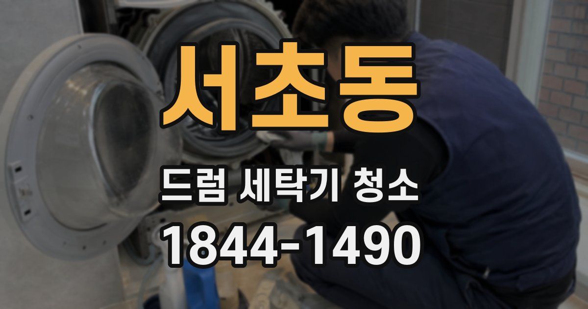서초동 드럼 세탁기 청소
