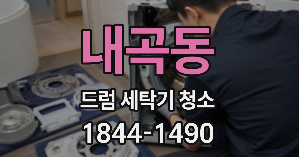내곡동 드럼 세탁기 청소