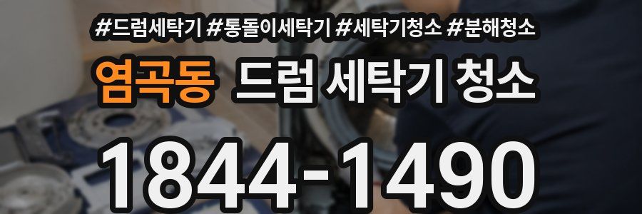 염곡동 드럼 세탁기 청소