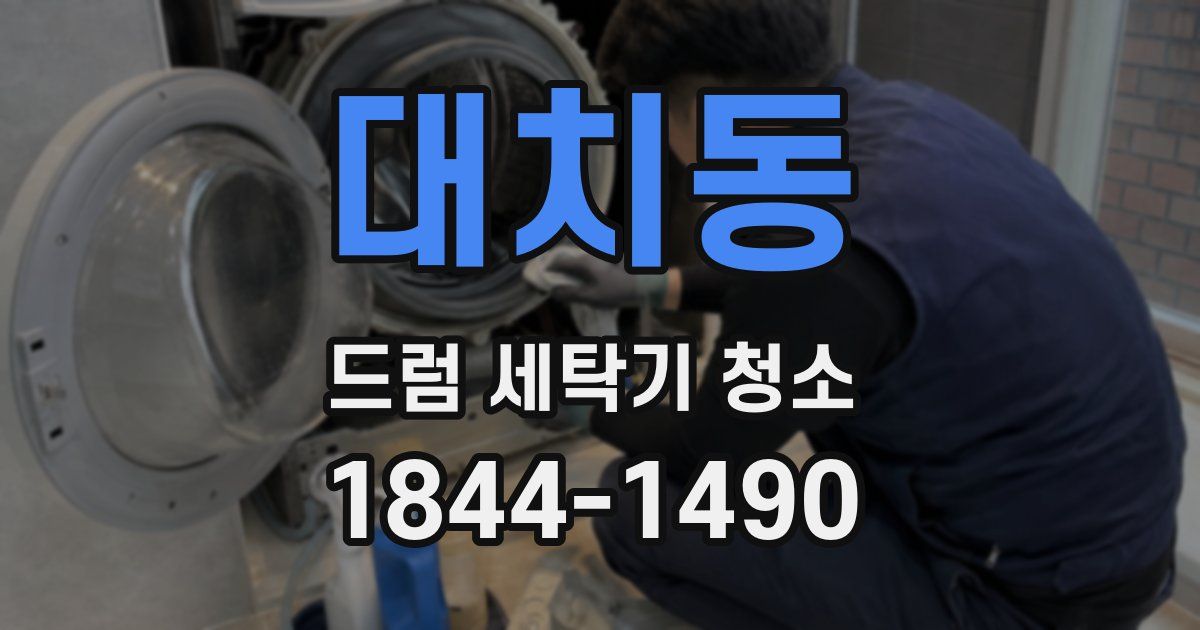 대치동 드럼 세탁기 청소