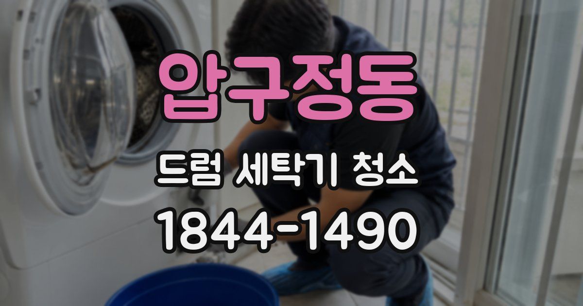 압구정동 드럼 세탁기 청소