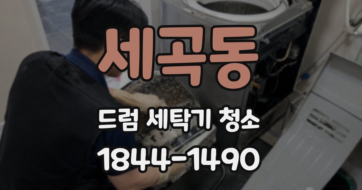 세곡동 드럼 세탁기 청소