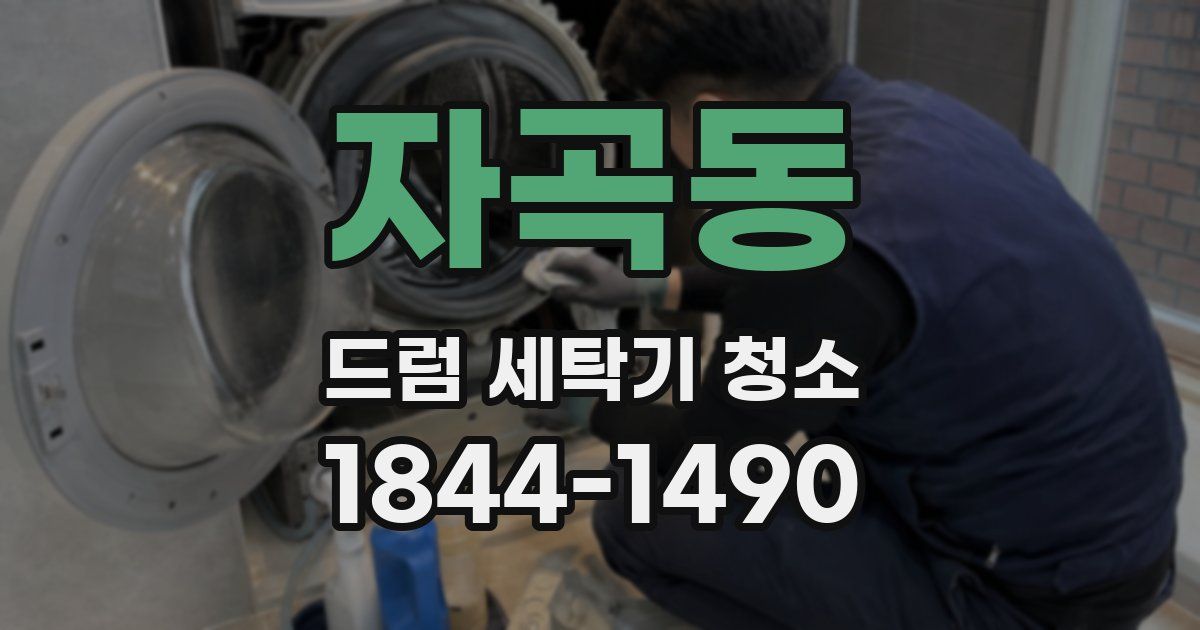 자곡동 드럼 세탁기 청소