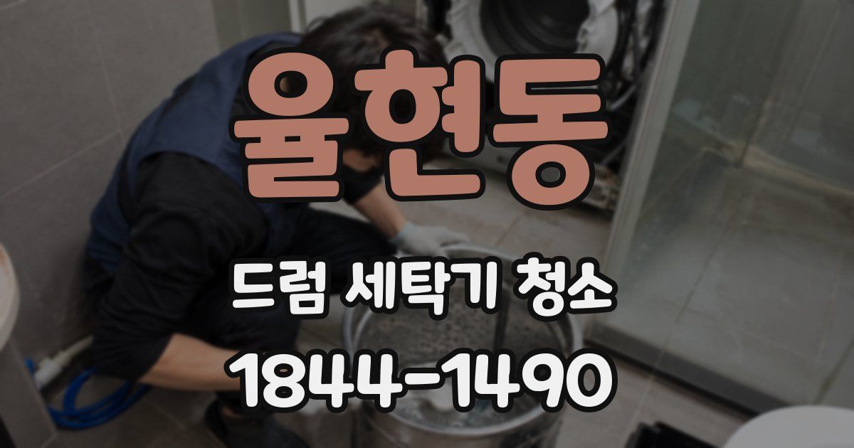 율현동 드럼 세탁기 청소