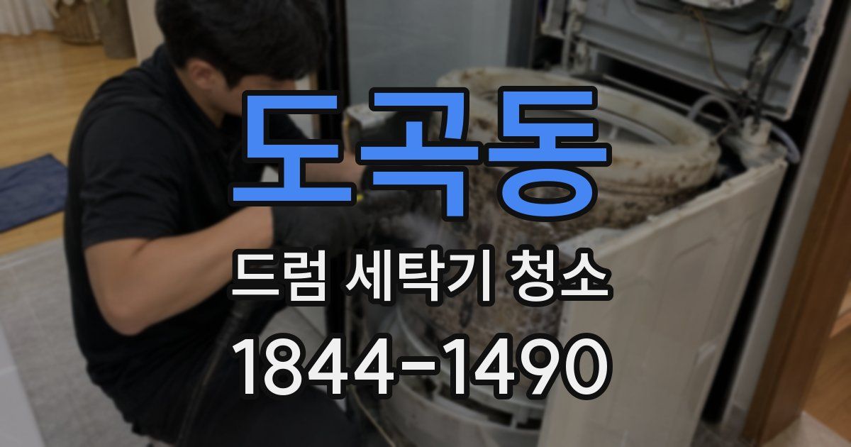 도곡동 드럼 세탁기 청소