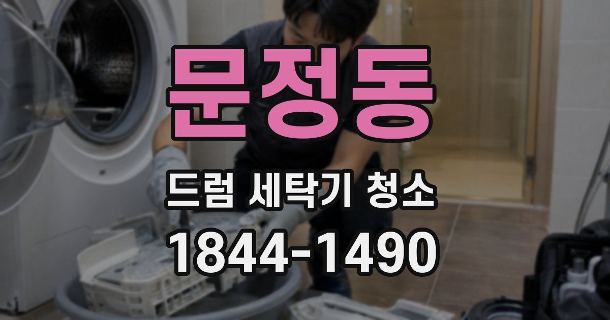 문정동 드럼 세탁기 청소
