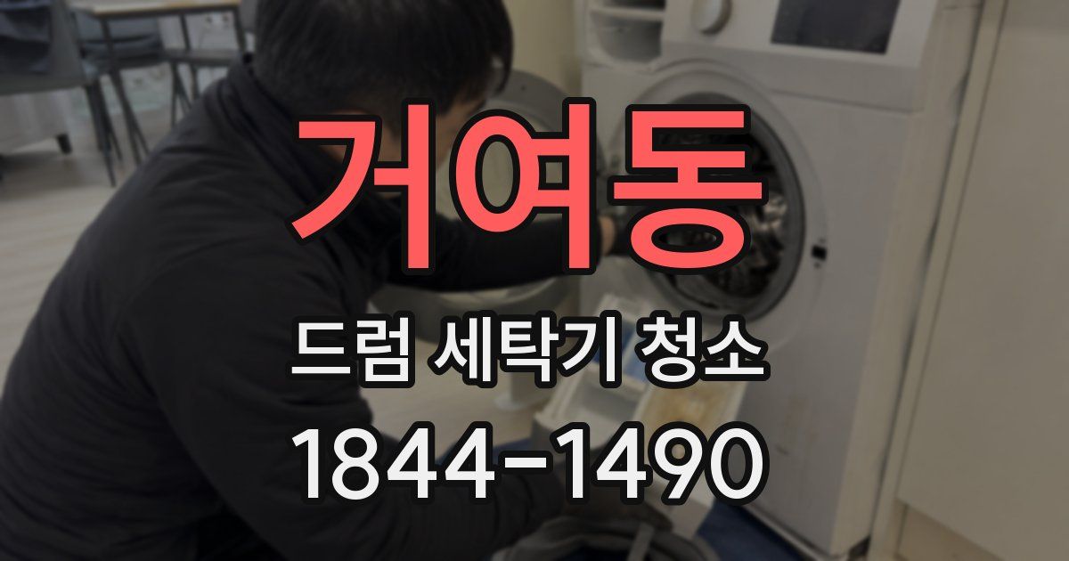 거여동 드럼 세탁기 청소