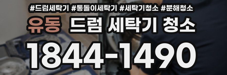 유동 드럼 세탁기 청소