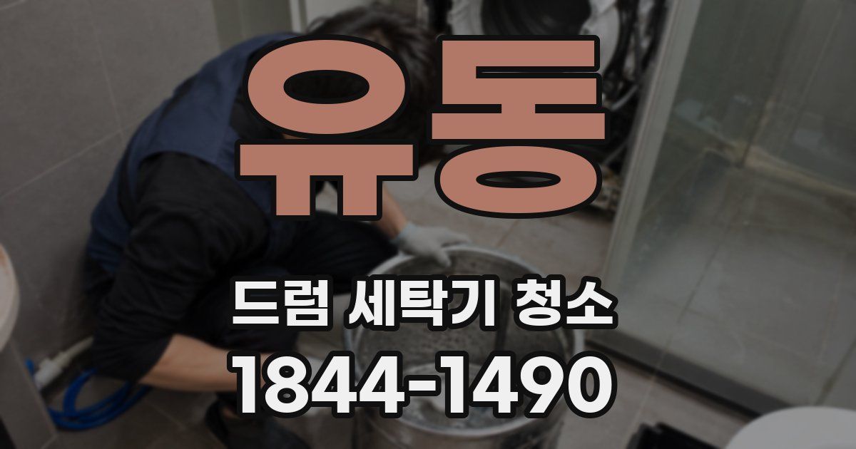 유동 드럼 세탁기 청소