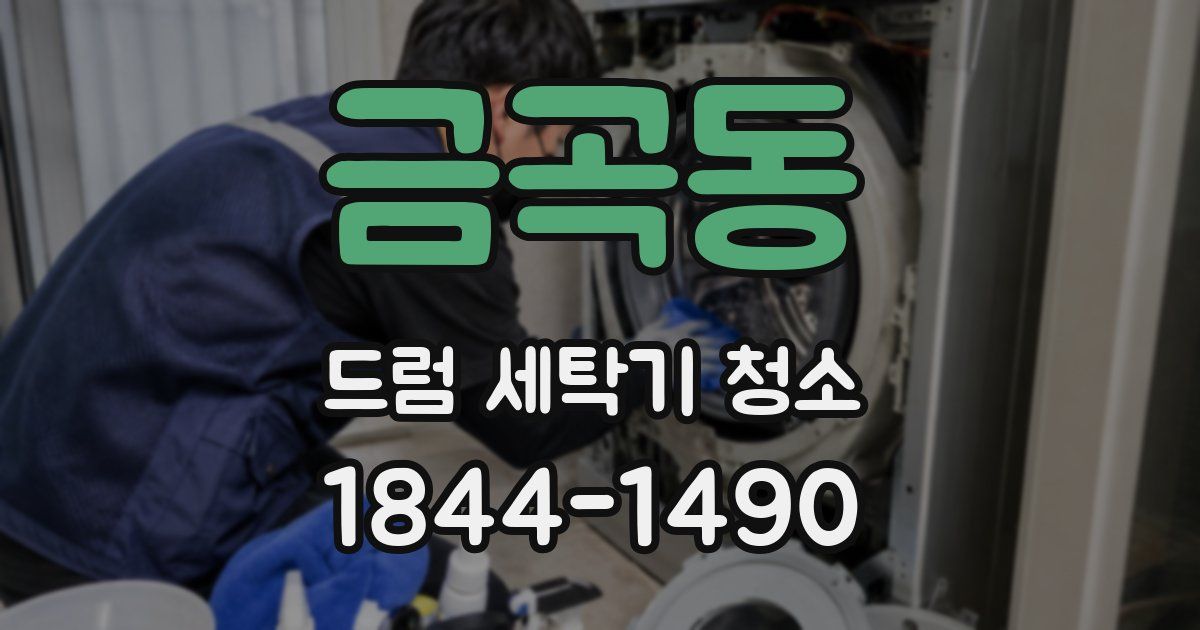 금곡동 드럼 세탁기 청소