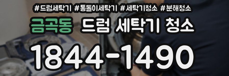금곡동 드럼 세탁기 청소