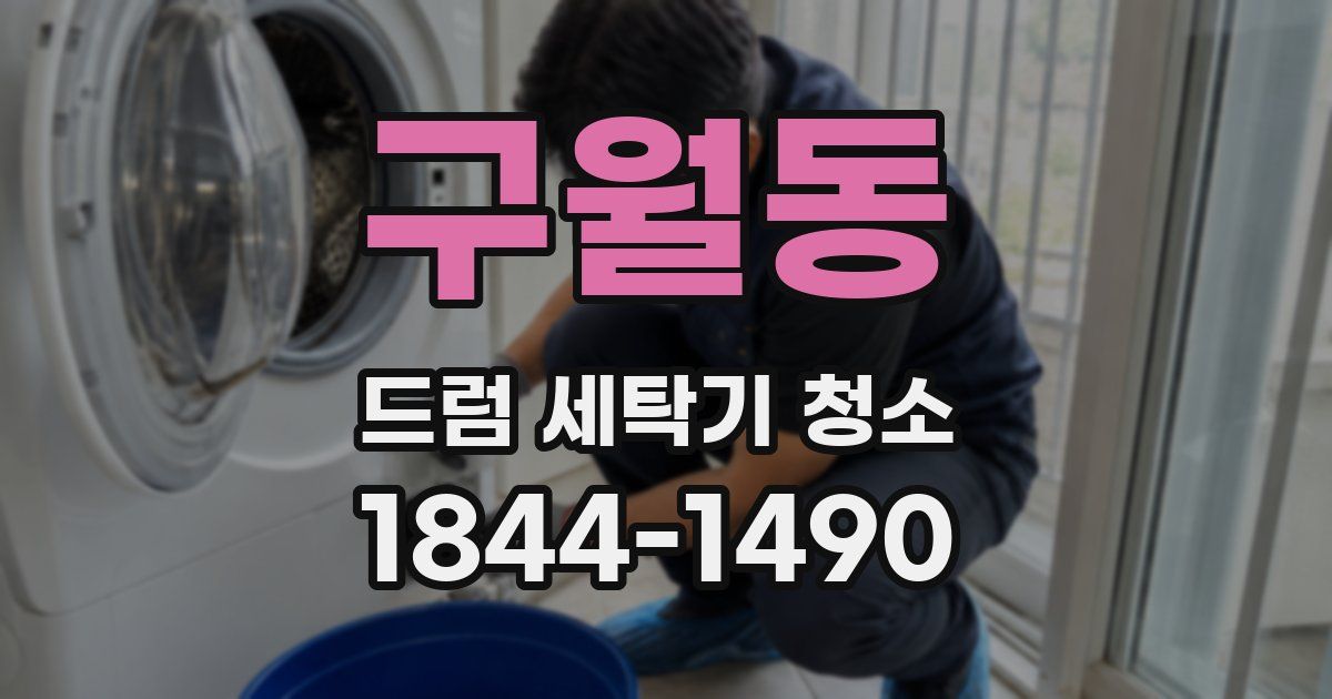 구월동 드럼 세탁기 청소