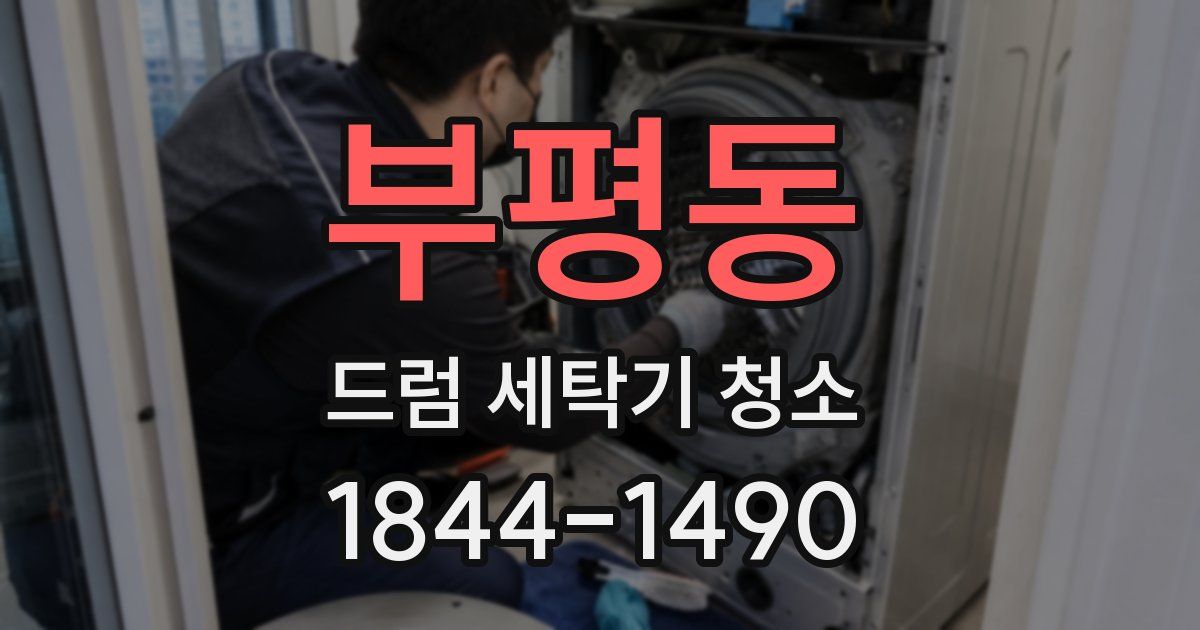 부평동 드럼 세탁기 청소