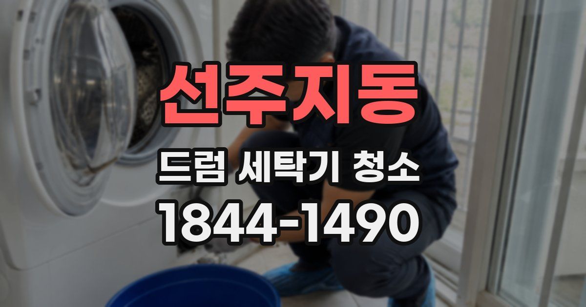 선주지동 드럼 세탁기 청소