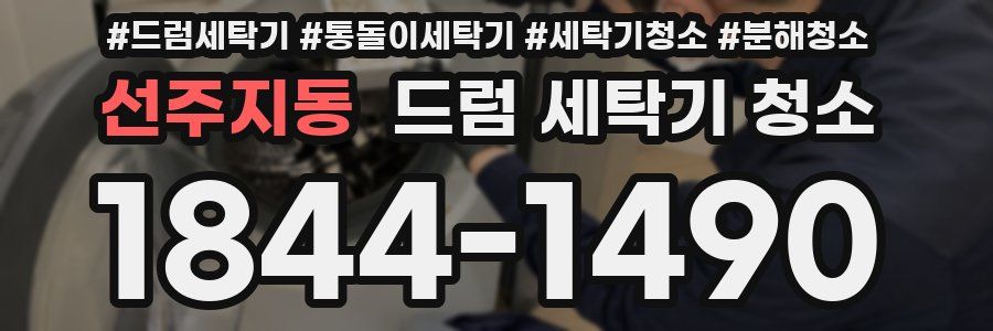 선주지동 드럼 세탁기 청소