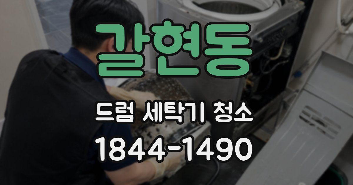 갈현동 드럼 세탁기 청소