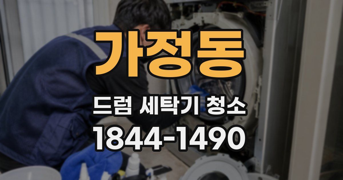 가정동 드럼 세탁기 청소
