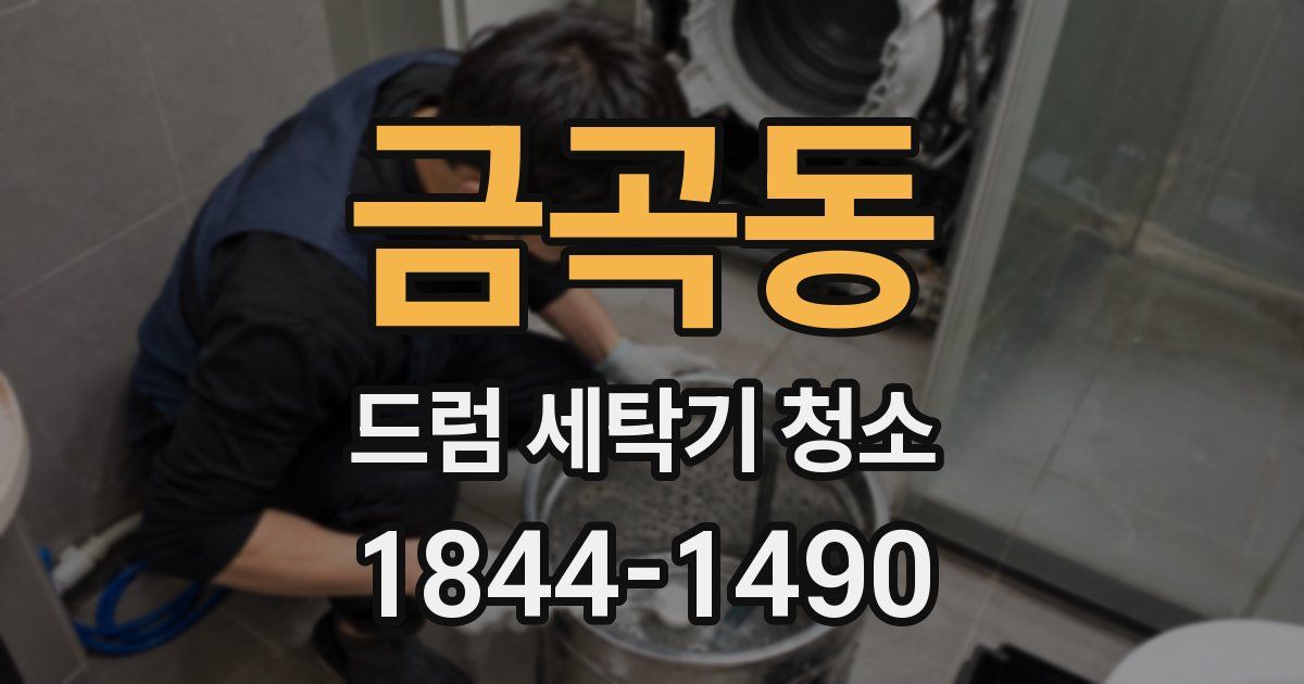 금곡동 드럼 세탁기 청소