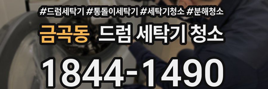 금곡동 드럼 세탁기 청소